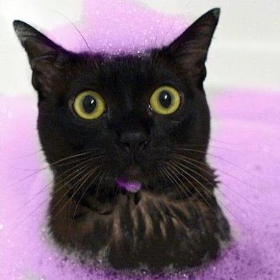 bricordell's profile picture. 