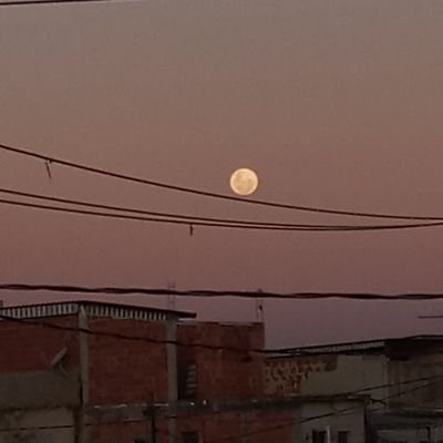 biel_maciel__'s profile picture. sim sou eu só q com uma conta privada