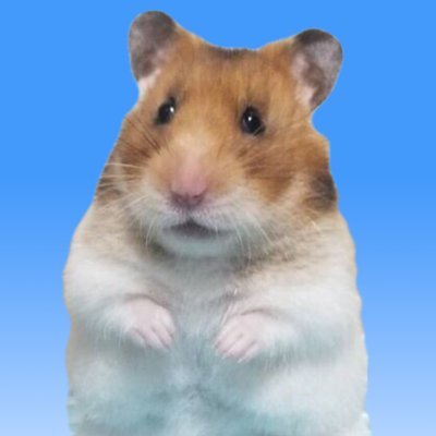 YabaiHamster Profile Picture