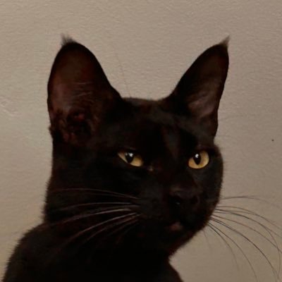 jenstefvni's profile picture. 