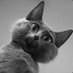Jennifer Davis (@jennife06584031) Twitter profile photo Jennifer Davis (@jennife06584031) Twitter profile photo