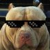 Monica Johnson (@gandrasinosz) Twitter profile photo Monica Johnson (@gandrasinosz) Twitter profile photo