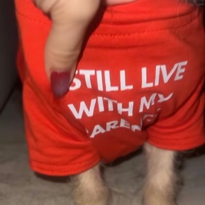 ramndgn's profile picture. Sentido del humor: Políticamente incorrecto.
Habilidades sociales: Existentes.