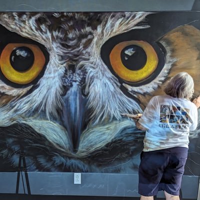 keeping an eye on those in charge, large scale chalk artist, bird enthusiast and photographer. All of my pets are rescues and the cockatiel rules the roost!