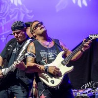 Matt Vogt (@mattvogtrocks) 's Twitter Profile