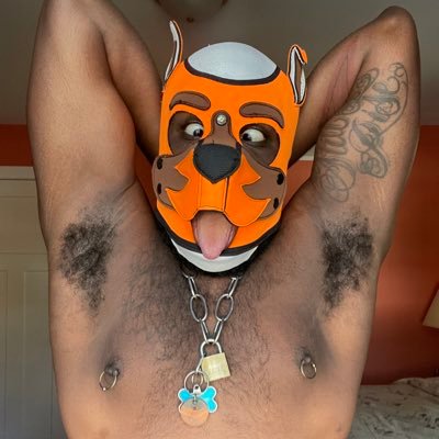 Bi stoner leather mutt who’s obsessed with his Doggydong - I like big musky dogs - Alpha to my own little stinker - DM me for customs! C*sh*pp: $PupArchie