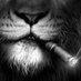 Ceteris Paribus (@peteriscaribus) Twitter profile photo Ceteris Paribus (@peteriscaribus) Twitter profile photo