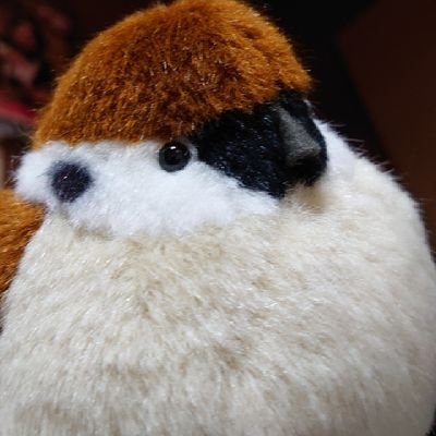 tmchamo's profile picture. 可愛いもの大好き ドキュメンタリー映画好き 想田和弘監督「港町」を推す人 ショコラティエのリリアン・ボンヌフォア氏のファン