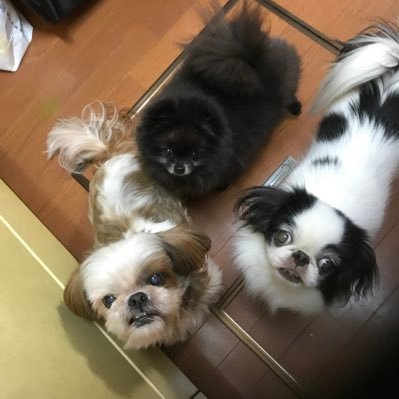 x1qhZkU4bJ89386's profile picture. 