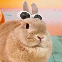 ぷくぷくうさぎ (@pukupuku_rabbit) 's Twitter Profile