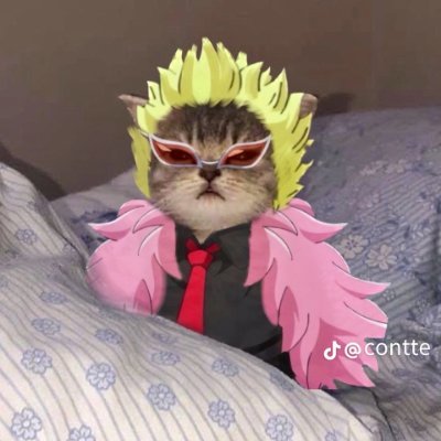 Forwin12345678's profile picture. ทักคุยเล่นกันนน