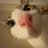 nacanimation's profile image