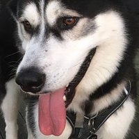 Gene W…🆘🙏⛪️❤️🇺🇸🕍✝️ (@genew22614687) 's Twitter Profile Photo Gene W…🆘🙏⛪️❤️🇺🇸🕍✝️ (@genew22614687) 's Twitter Profile Photo