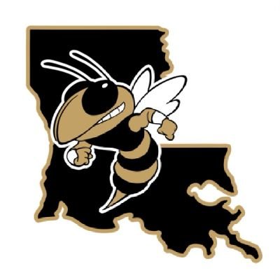 🐝🥎Oak Forest Academy Softball🥎🐝