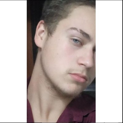 gustavolourenn's profile picture. Consultor de marketing e finanças 
Produtor de conteúdo 
Tiktok: https://t.co/vvBYiw0bPN