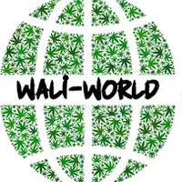 Walipini Seedbank(@walipinibank) 's Twitter Profile Photo