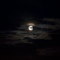 • (@xxla_2) Twitter profile photo