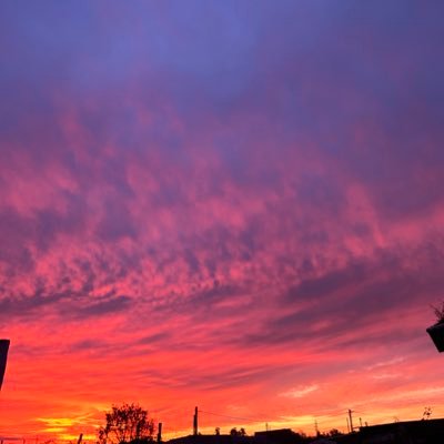 mltrluzbelito's profile picture. 