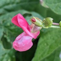 Dr. Darren Abbey (@thebiologistisn) 's Twitter Profile Photo