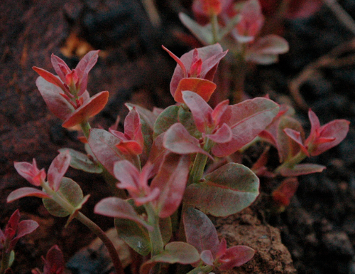 resXdesign's profile picture. Building resilient communities & transforming systems through collaborative design & development with government, business, academia and NGOs.