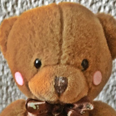 chosinsiyukkuma Profile Picture