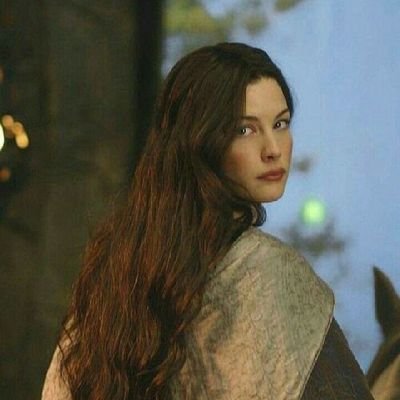 Queen  of  Gondor 👑