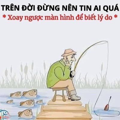 trinhnam2002's profile picture. "❤️ Memecoin"