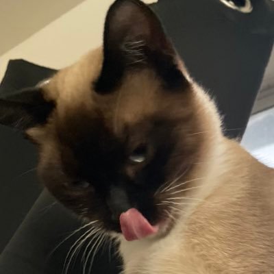 Afronymous's profile picture. Elle🦋🤍