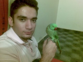 AziOsman's profile picture. 