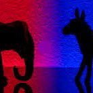 politically purple (@dhs64dhs) 's Twitter Profile