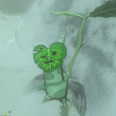 TzcSFXrb0qCpGEO's profile picture. yahaha！you found me！