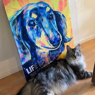 ganbare_mayumi's profile picture. 🙋🏻‍♀️43歳🙆‍♂️50歳/2023.9.1入籍 /2023.8.30 予定日ぴったり(40w0d)に息子誕生！無痛分娩から鉗子分娩になり仮死状態で産まれた赤ちゃんですが、元気いっぱいすくすく育ってます✨40歳からの育児/第二子2025.10.21誕生(38w6d帝王切開)/ゴルフと相撲が好き