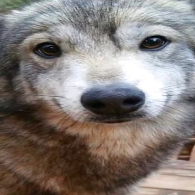 think about hunter 🇵🇸さんのプロフィール画像