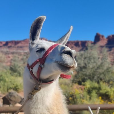 Ravenclaw27's profile picture. 🍞