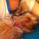 Niall Brown :) - @NiallBrown51 - Twitter