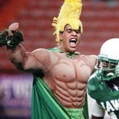 The Unofficial account of the @HawaiiFootball @HawaiiAthletics mascot. Waiting for the day I can go back out there! #BRADDAHHOOD #GoBows #IFB #F4F