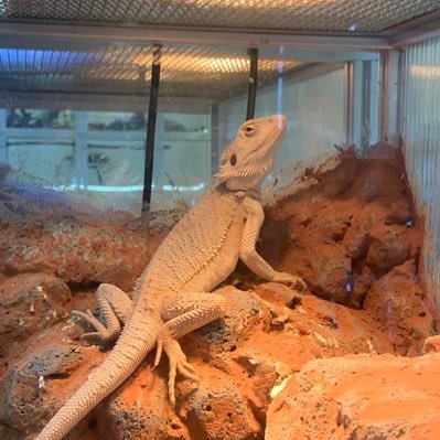 Jennife94914641's profile picture. 