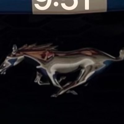 Ellyoop's profile picture. Mustang
