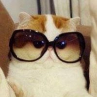 Jen Burton (@jensburpin) 's Twitter Profile