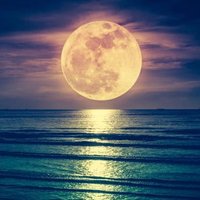 Clair de lune presse (@lunepresse) 's Twitter Profile Photo Clair de lune presse (@lunepresse) 's Twitter Profile Photo
