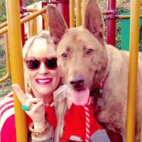Trisomy21 Mumm PhD@J Tennenbaum (@juliennehansen2) 's Twitter Profile