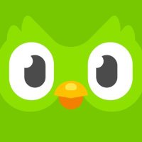 Duolingo 🇬🇧(@duolingoUK) 's Twitter Profileg