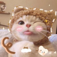 Ila Curry (@coulterade95769) 's Twitter Profile