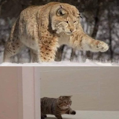 BazingaStroke's profile picture. Builder. Mover. Shaker. Breaker.