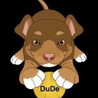 DuDe(@moneynoborders) 's Twitter Profile Photo