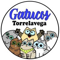 Gatucos Torrelavega(@GatucosTorre) 's Twitter Profile Photo