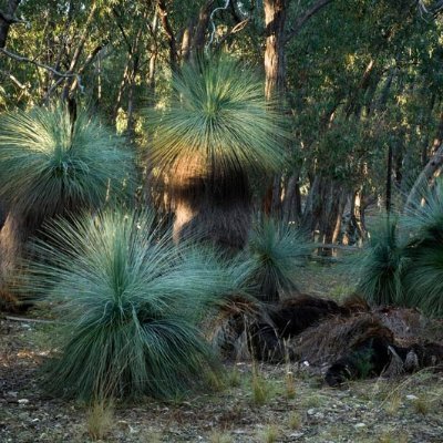 CRyan08557774's profile picture. Retired Australian woman.