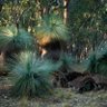 CRyan08557774's profile picture. Retired Australian woman.