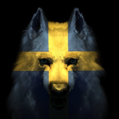 Nej till saker som försämrar Sverige. Om ingenting annat fungerar, separatism. Angrip beteende, aldrig hudfärg. Sverige först! Nej till WEF! #swexit #KÄMPA