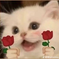 grimpsy ʕ•ᴥ•ʔ (@grumpyyisel) 's Twitter Profile
